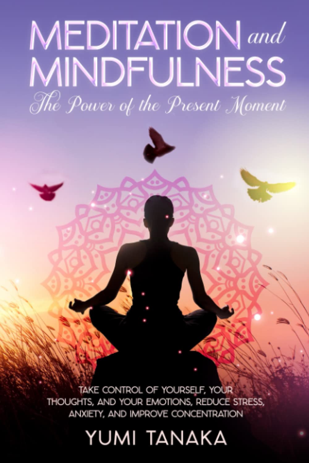 MEDITATION AND MINDFULNESS: The Power Of The Present Moment: Take Control of Yourself, Your Thoughts and Emotions, Reduce Stress, Anxiety and Improve Concentration Lifestyle