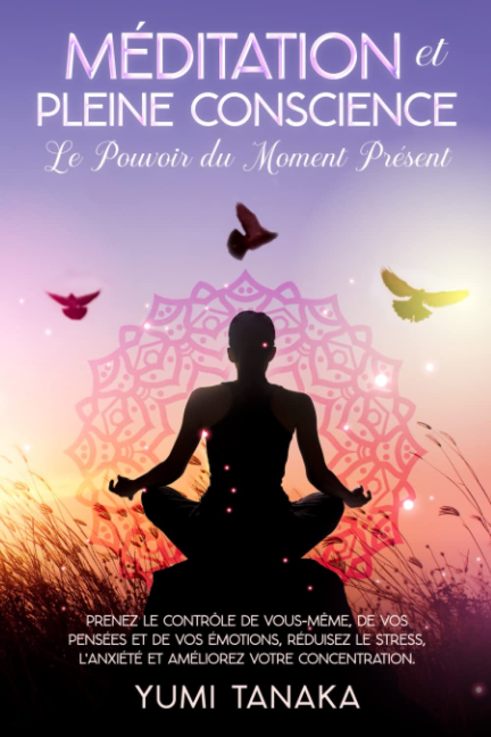 LA MÉDITATION ET LA PLEINE CONSCIENCE : Le pouvoir du moment présent: Prenez le contrôle de vous-même, de vos pensées et de vos émotions, réduisez le ... la sérénité et la paix intérieure, Band 1) Lifestyle