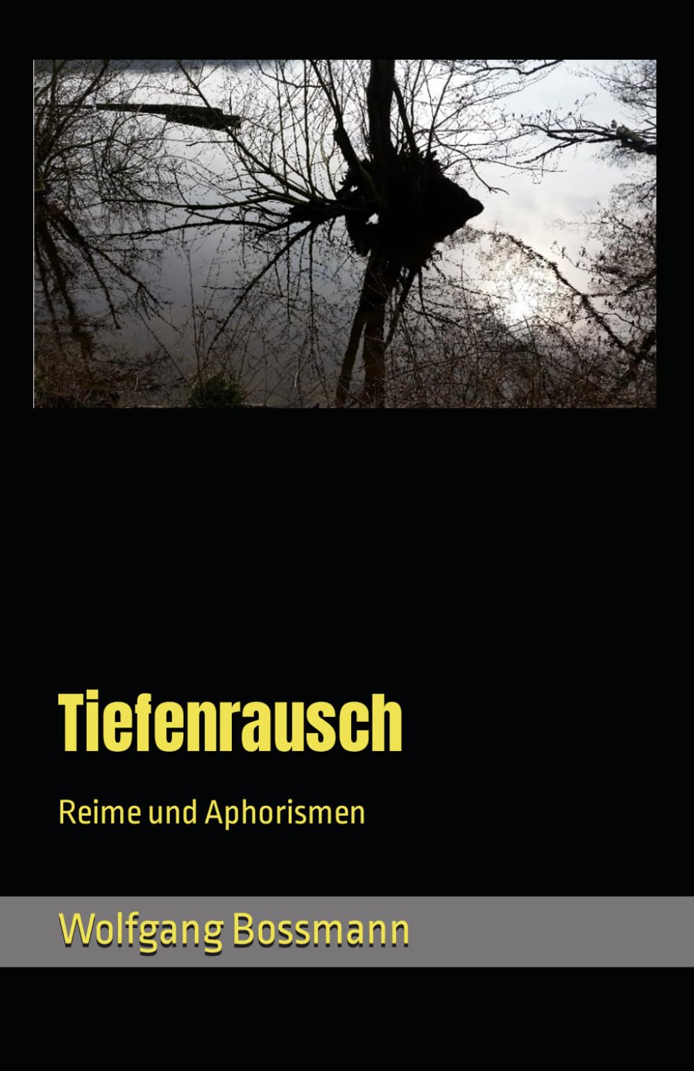 Tiefenrausch: Reime & Aphorismen Poetry