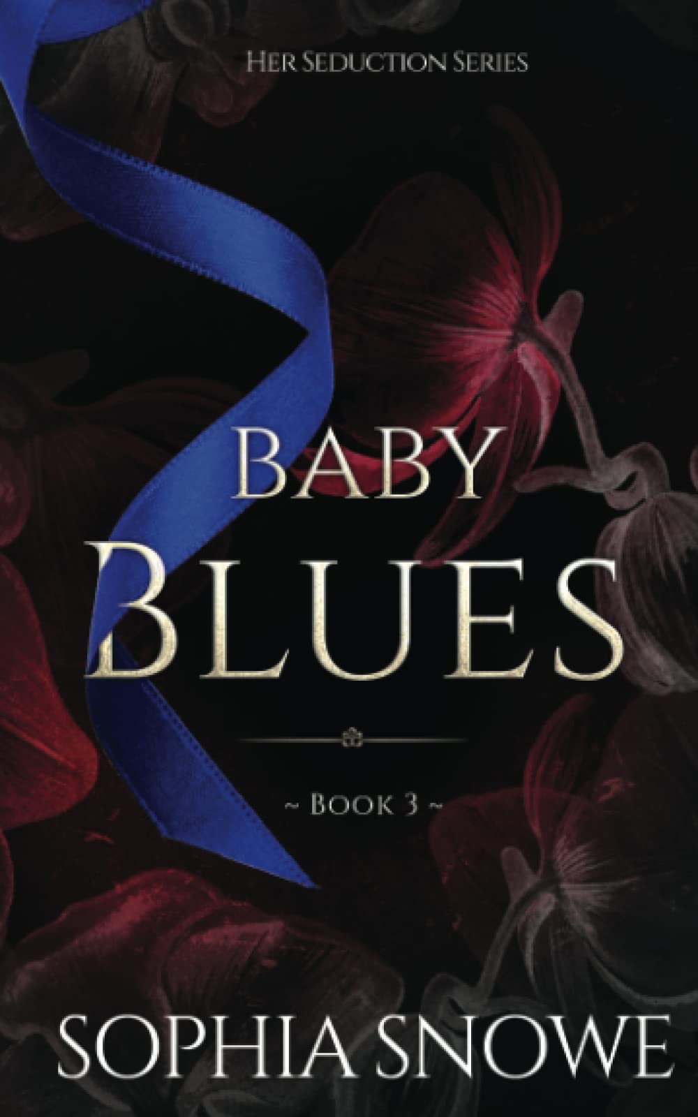 Baby Blues (Her Seduction Series, Band 3) Holiday Reading