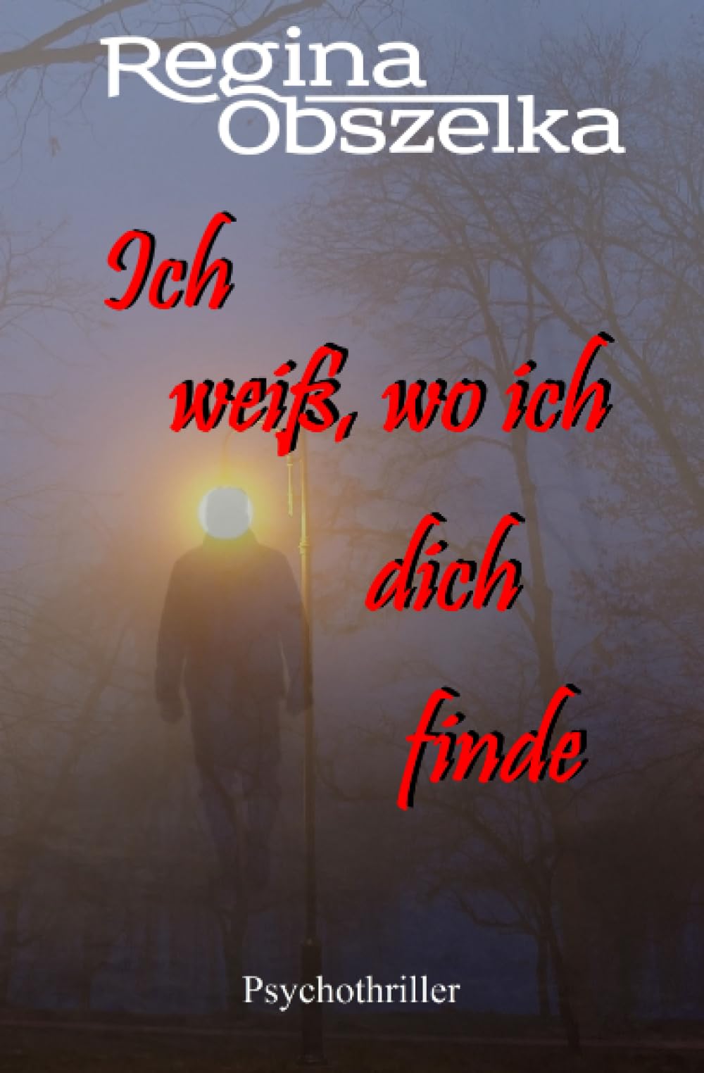 Ich weiß, wo ich dich finde: Psychothriller Contemporary literature