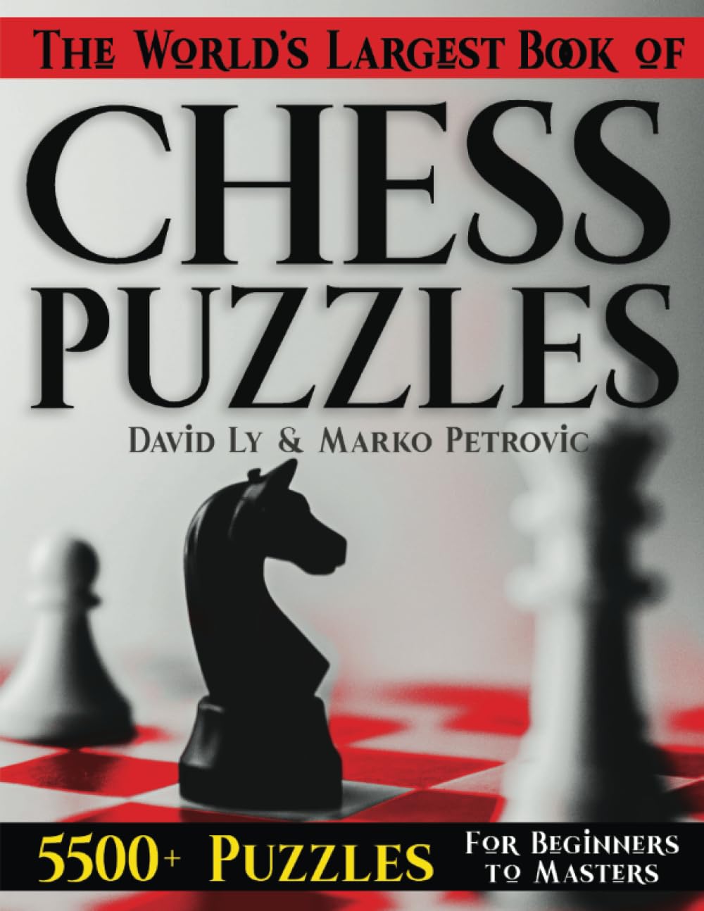 The World's Largest Book of Chess Puzzles Leisure & Fun