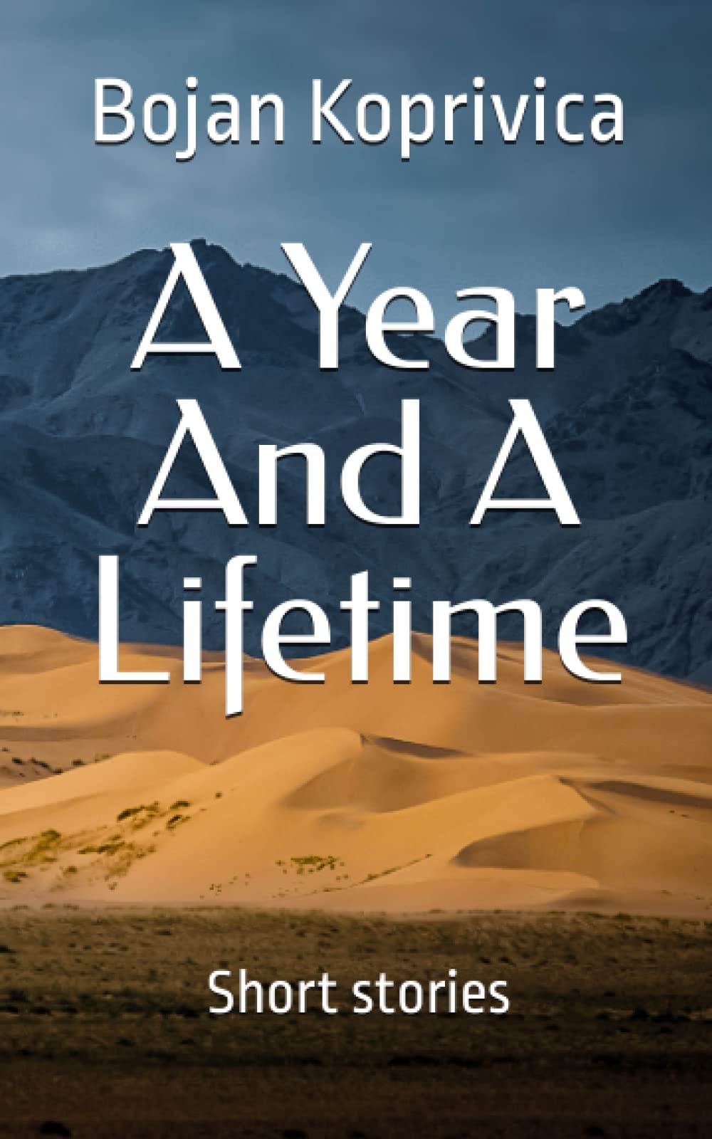 A Year And A Lifetime: Short stories Essays & Short Stories