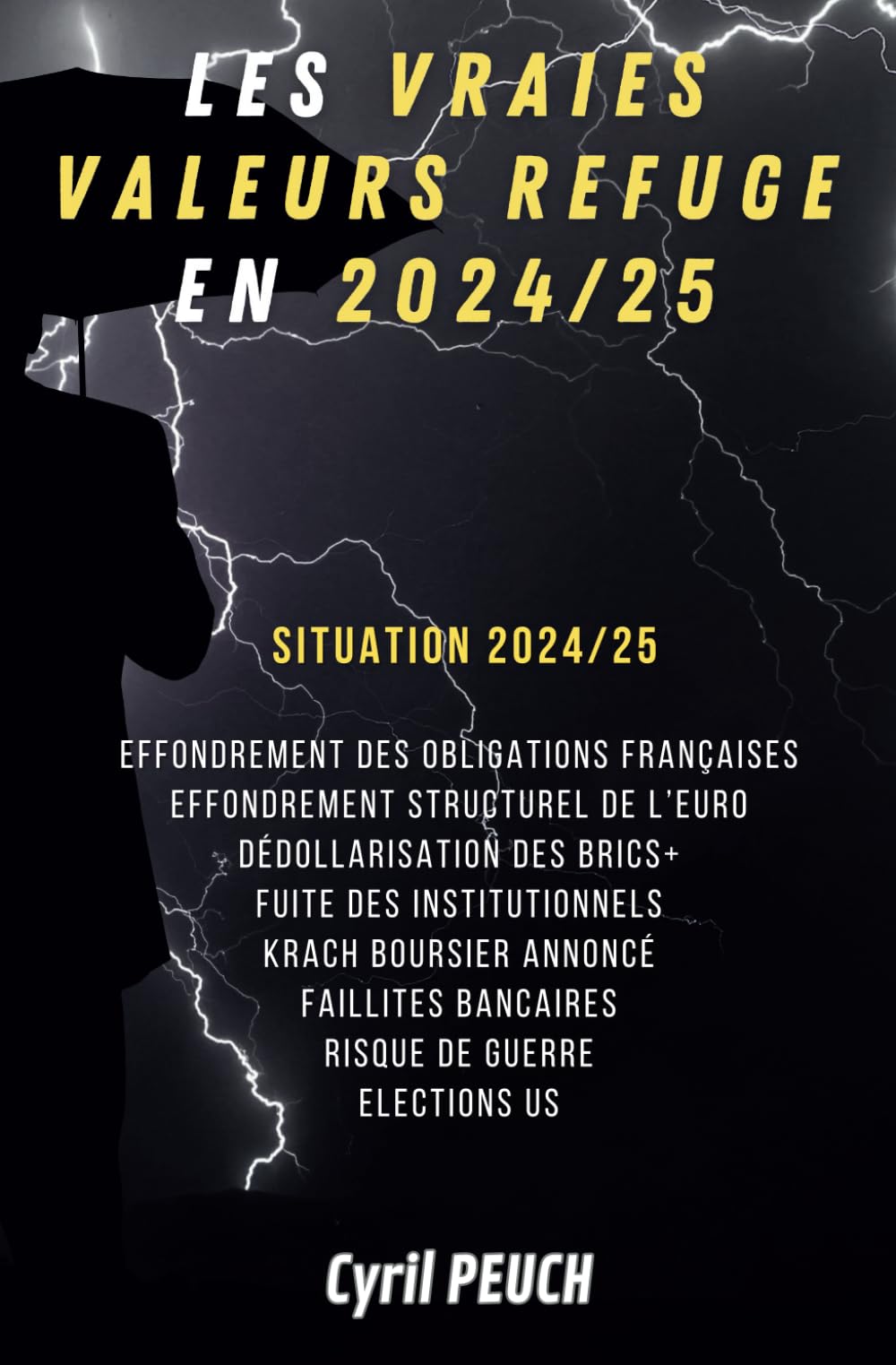 LES VALEURS REFUGE: Protéger son capital en temps de crise book