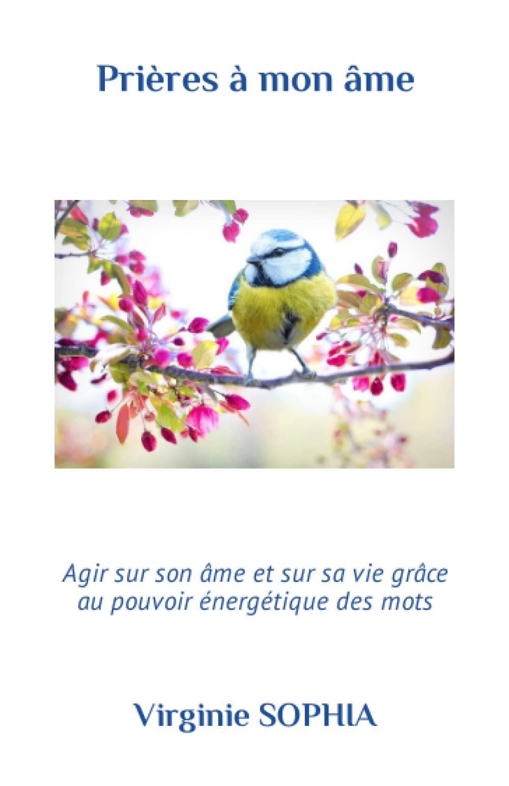 Prières à mon âme: Agir sur son âme et sur sa vie grâce au pouvoir énergétique des mots Religion & Esotericism