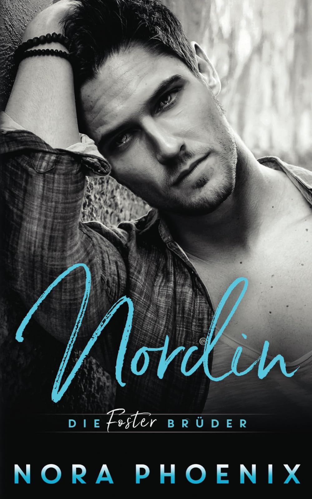 Die Foster Brüder: Nordin book