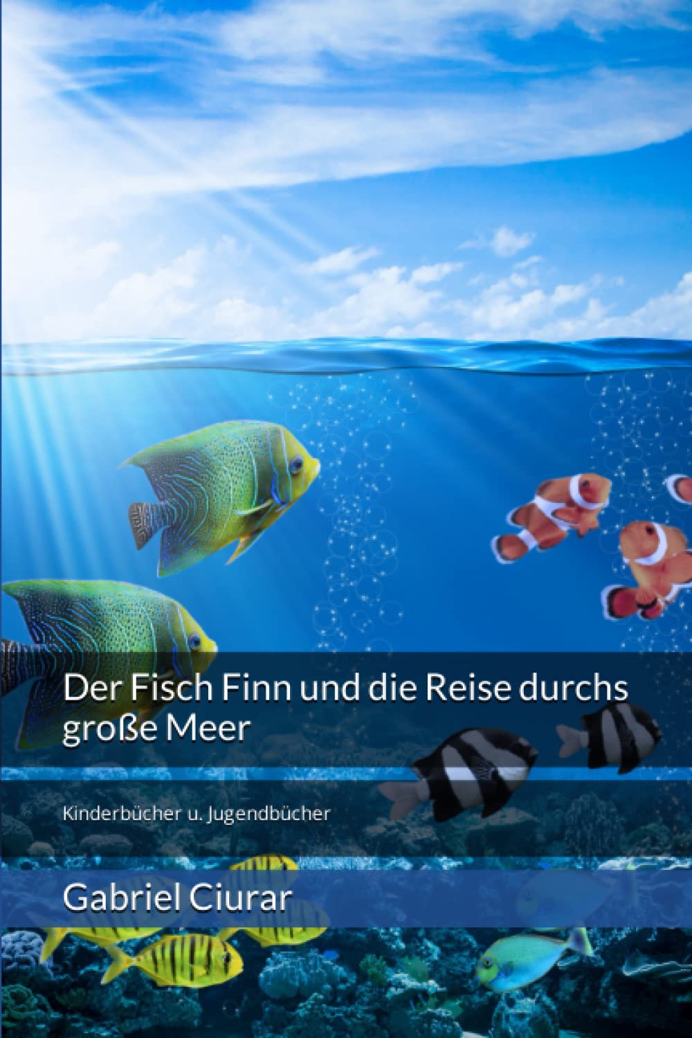 Der Fisch Finn und die Reise durchs große Meer book