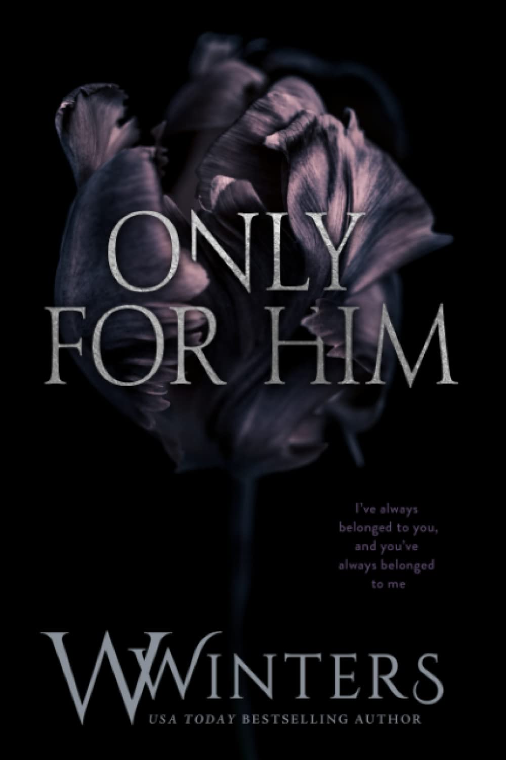 Only For Him (Merciless World Series, Band 6) Contemporary literature
