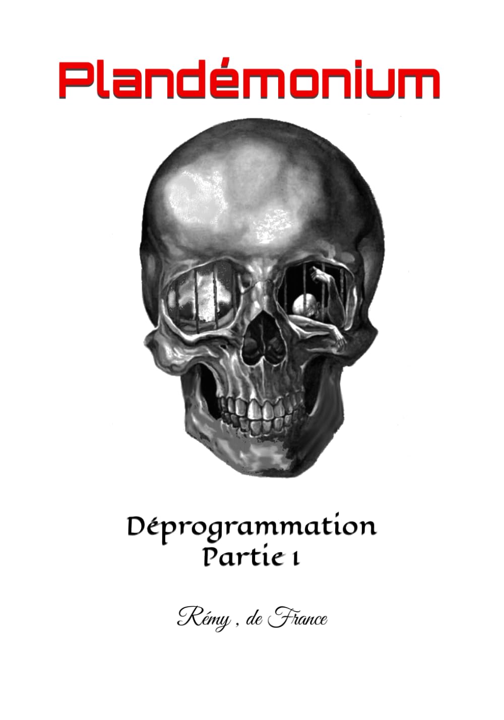 Plandémonium: Déprogrammation Partie 1 Books