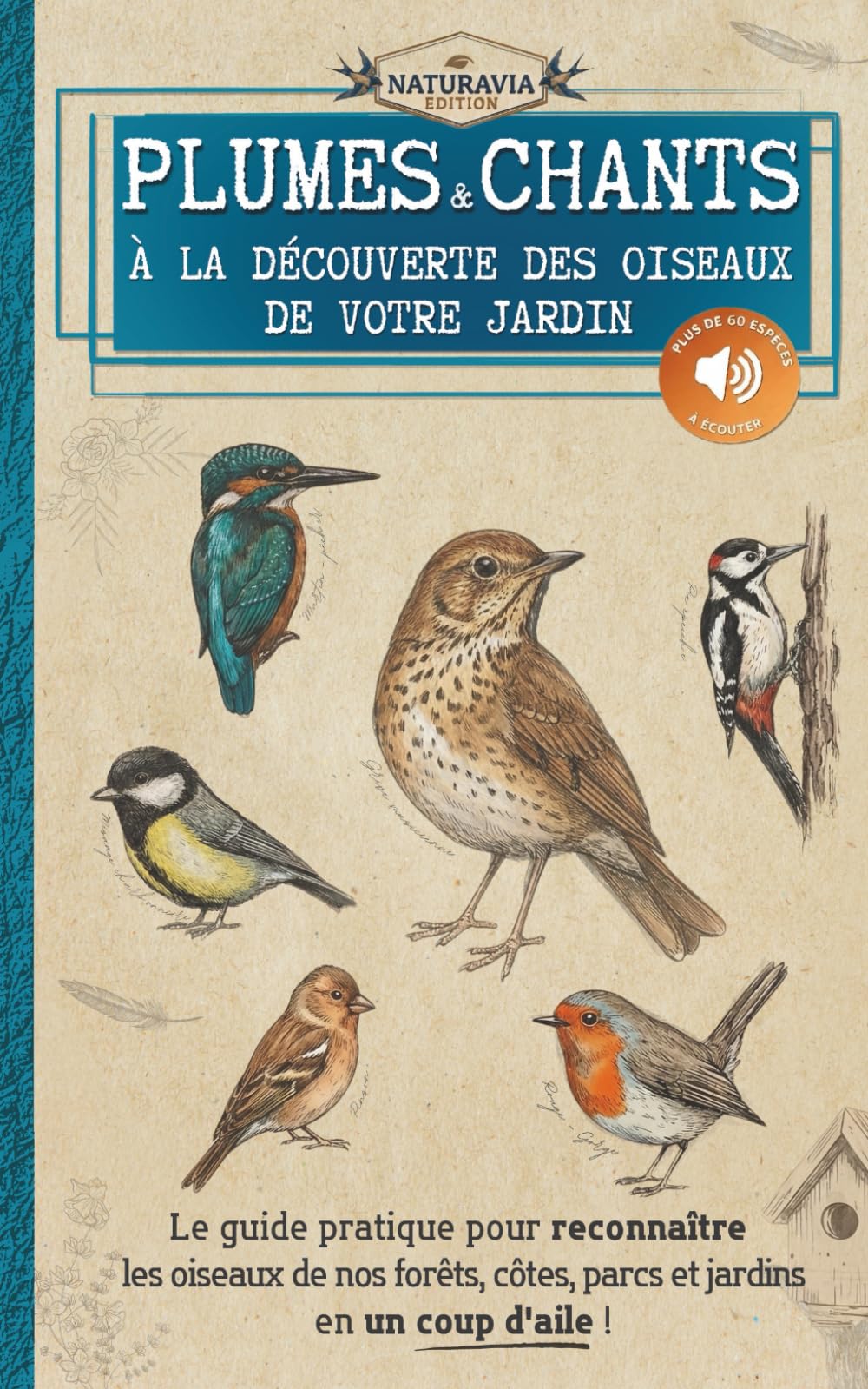 Plumes et chants : À la découverte des oiseaux de votre jardin: Le guide pratique pour reconnaître les oiseaux de nos forêts, côtes, parcs et jardins en un coup d'aile ! Leisure & Fun