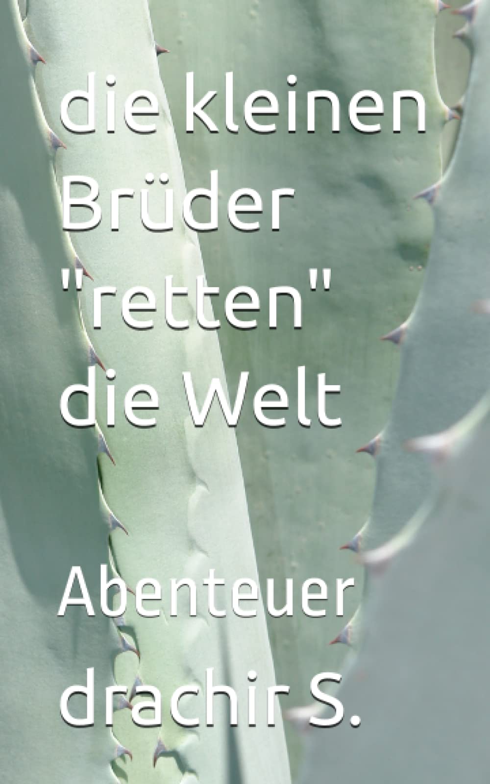 die kleinen Brüder "retten" die Welt: Abenteuer Action & Adventure
