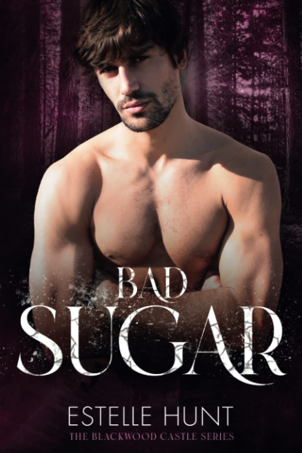 Bad Sugar: The Blackwood Castle Series book