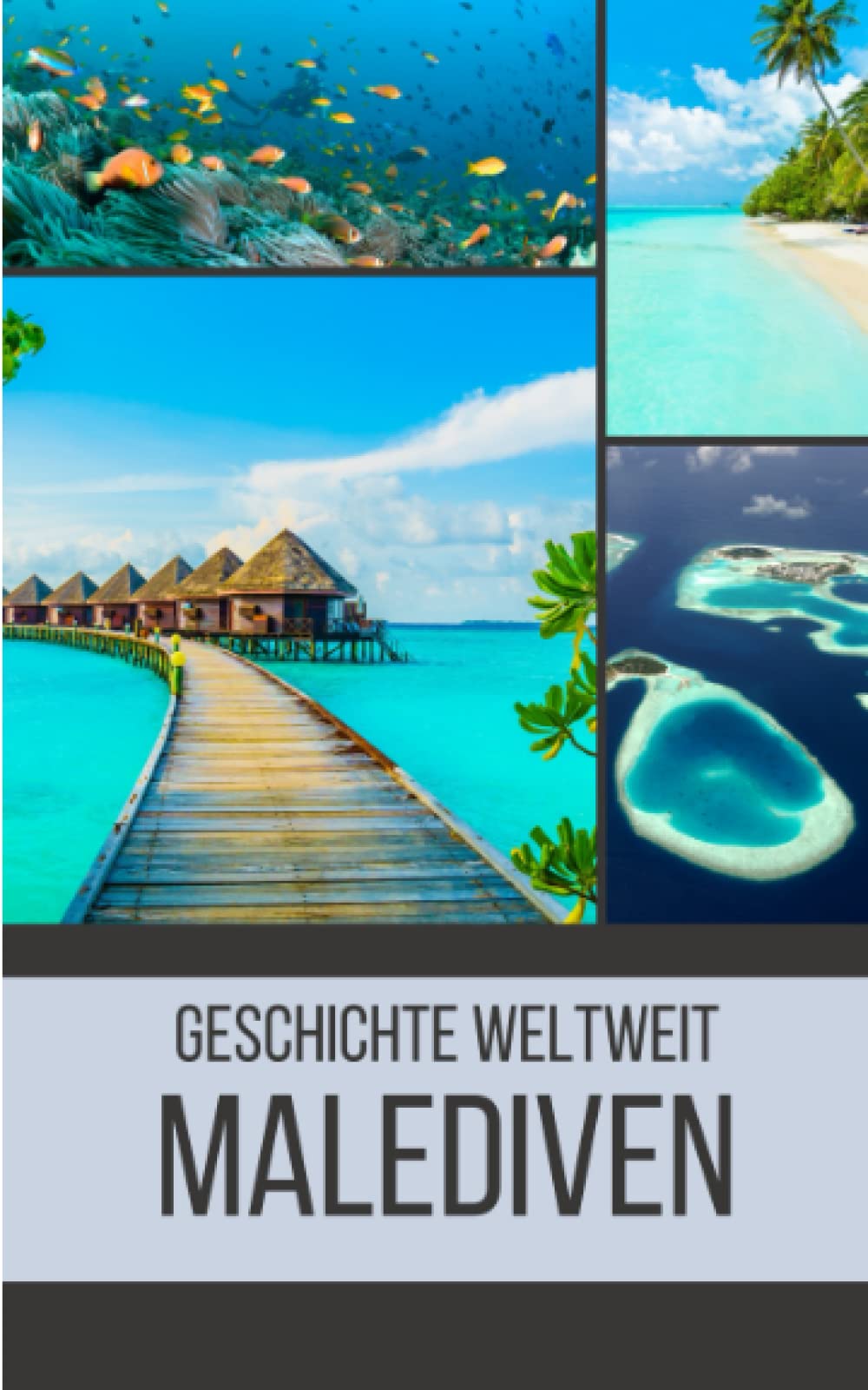 Malediven: Geschichte weltweit Politics & History books