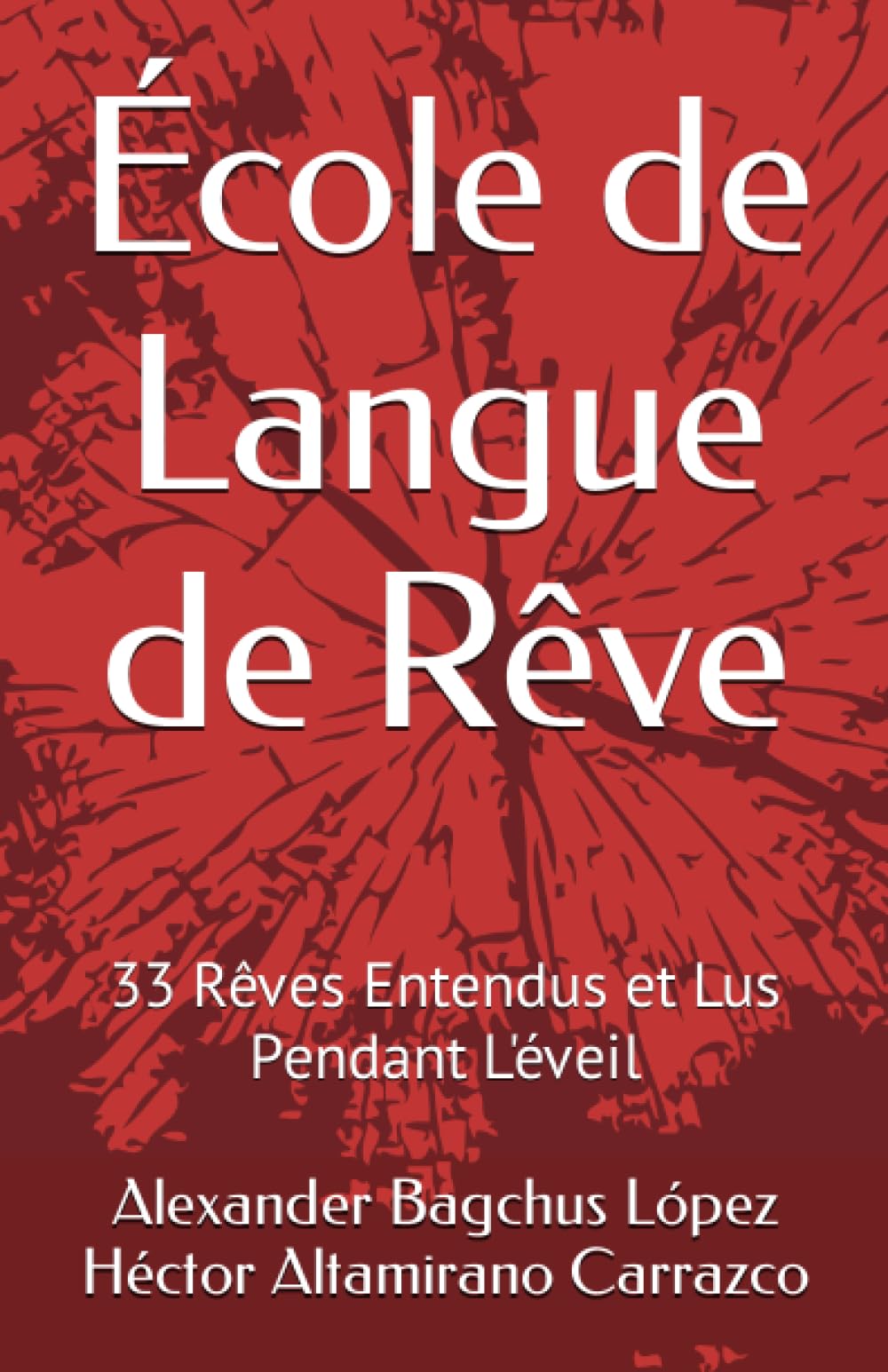 École de Langue de Rêve: 33 Rêves Entendus et Lus Pendant L'éveil book