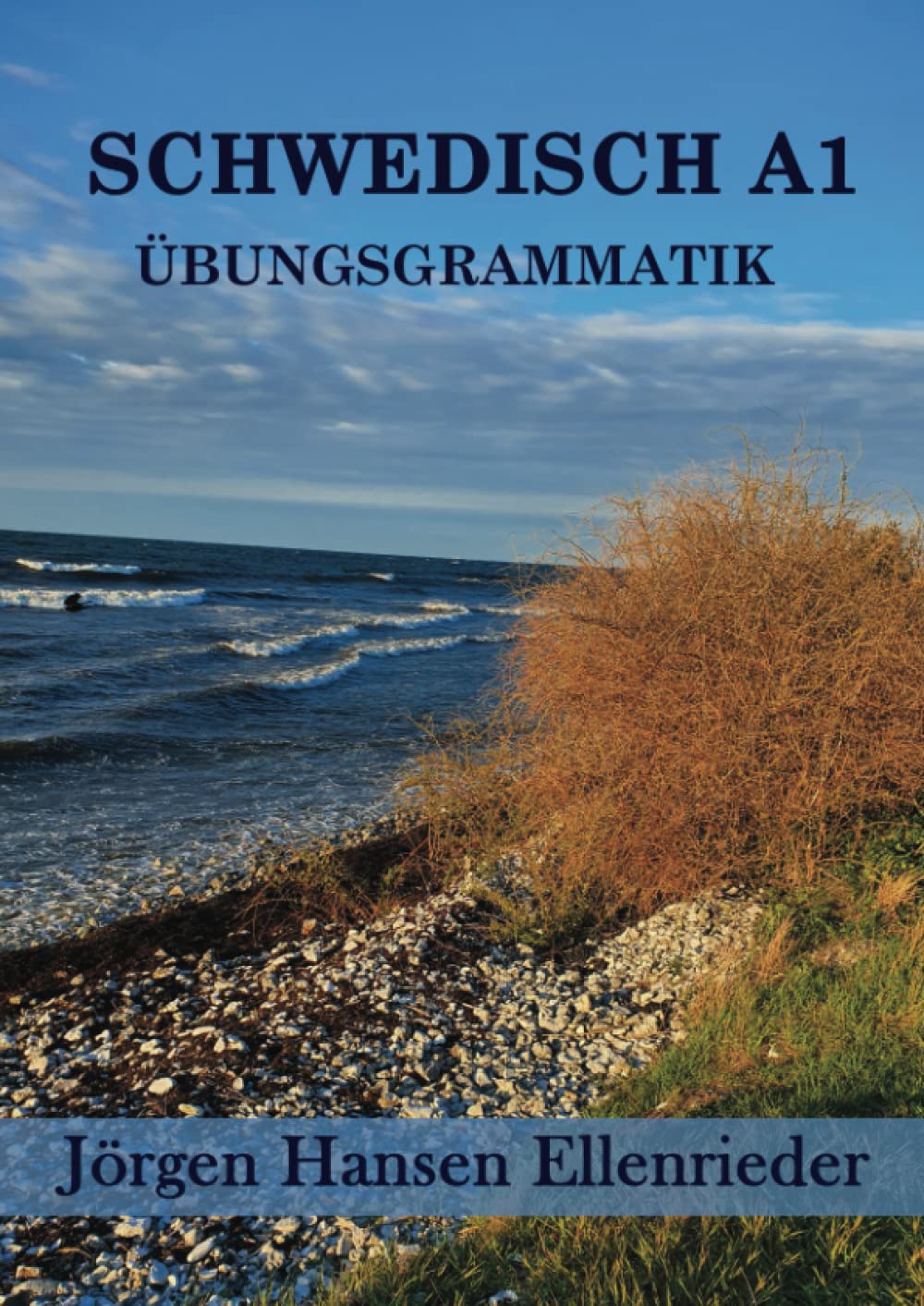 SCHWEDISCH A1: ÜBUNGSGRAMMATIK (SCHWEDISCH LERNEN) book