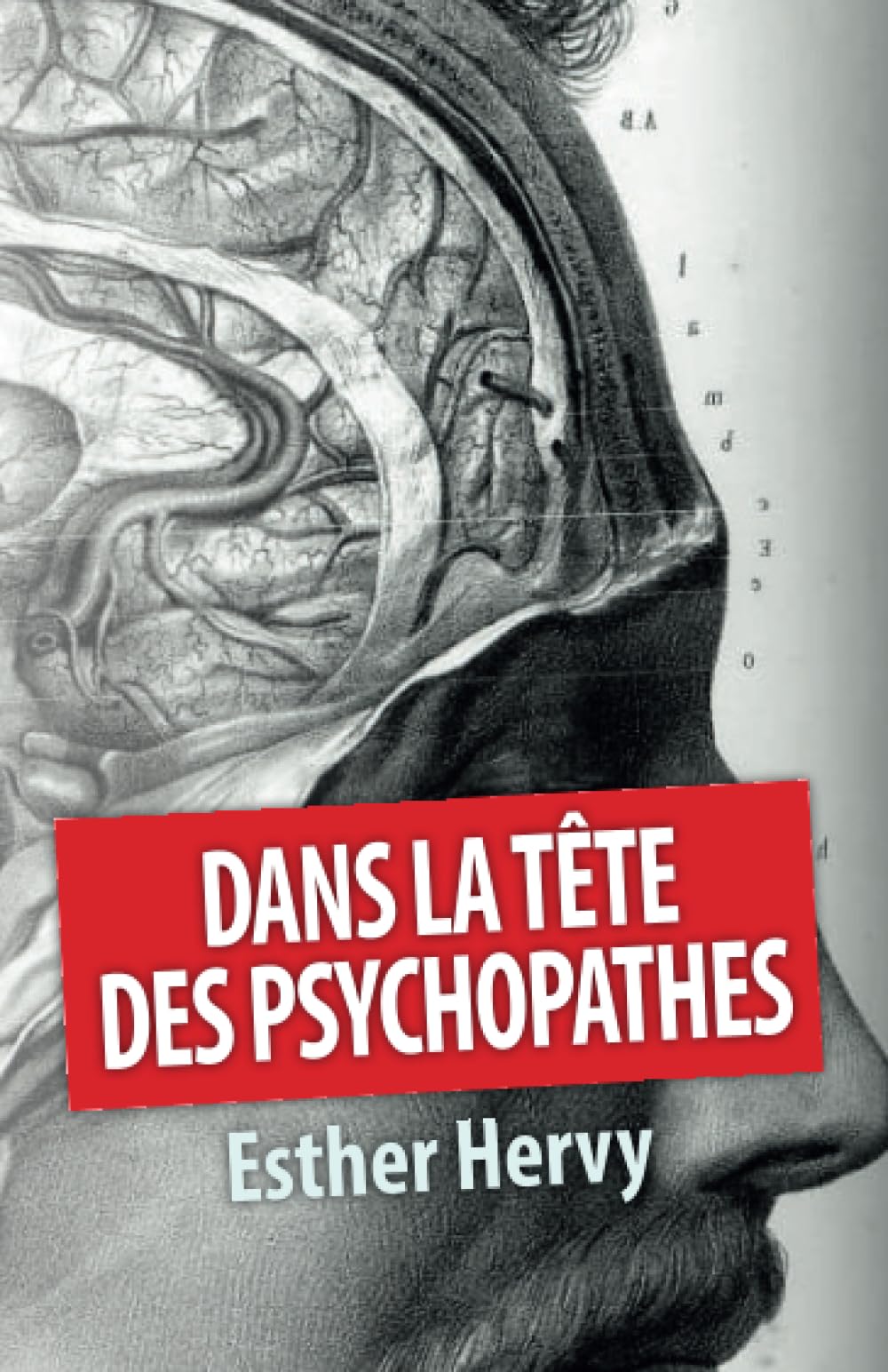 Dans la tête des psychopathes book
