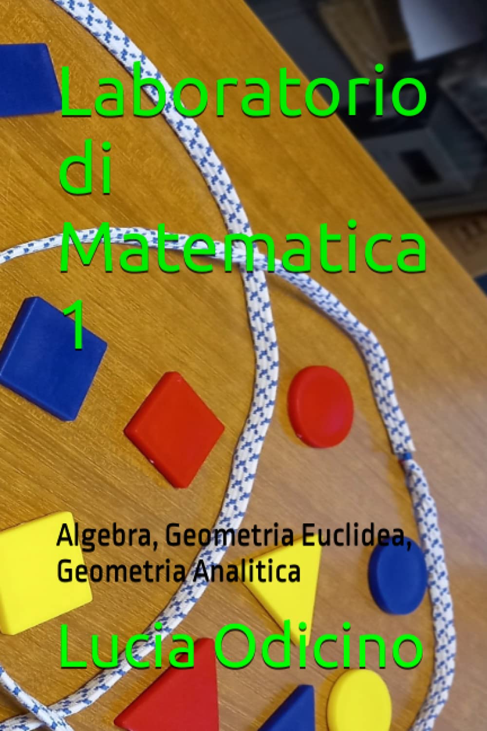 Laboratorio di Matematica 1: Algebra, Geometria Euclidea, Geometria Analitica book