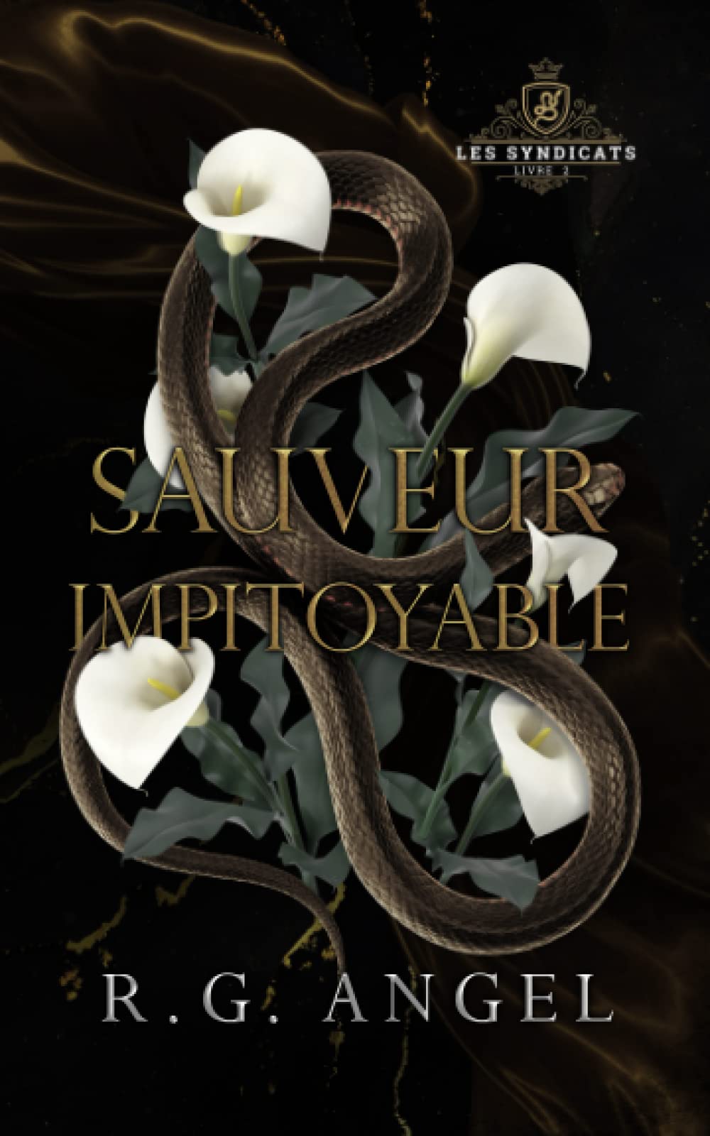 Sauveur Impitoyable: Dark Romance et Mafia book
