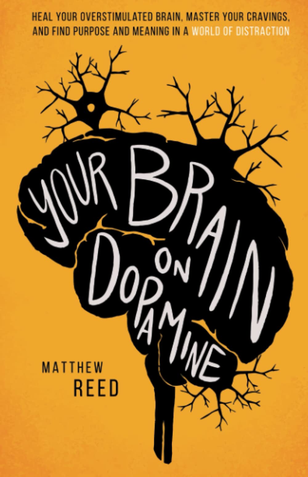 Your Brain on Dopamine: Heal Your Overstimulated Brain, Master Your Cravings, and Find Purpose and Meaning in a World of Distraction book
