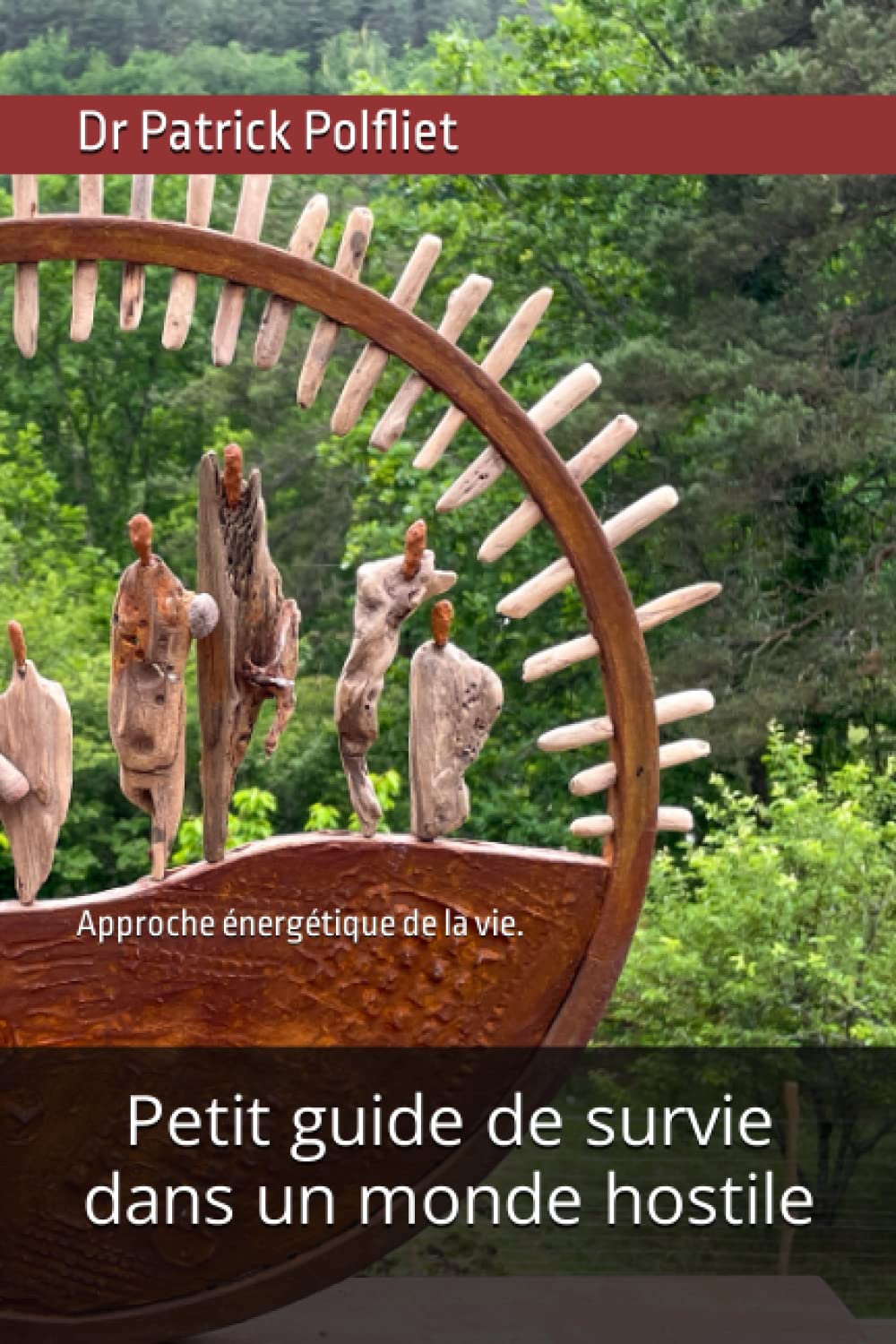 Petit guide de survie dans un monde hostile: approche énergétique de la vie book