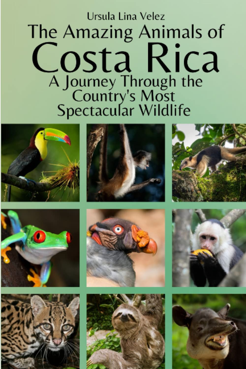 The Amazing Animals of Costa Rica: A Journey Through the Country's Most Spectacular Wildlife Mathematics
