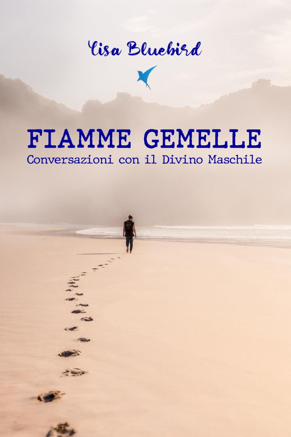 FIAMME GEMELLE Conversazioni con il Divino Maschile book