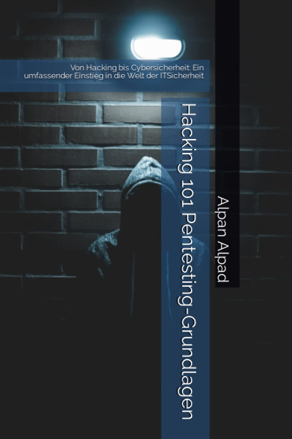 Hacking 101 Pentesting-Grundlagen: Von Hacking bis Cybersicherheit: Ein umfassender Einstieg in die Welt der ITSicherheit Computer Science