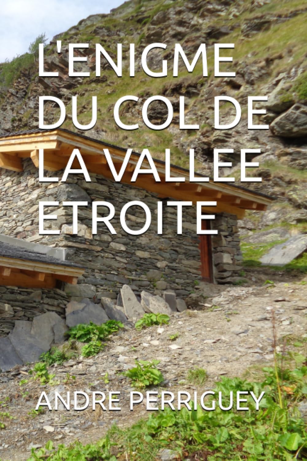 L'ENIGME DU COL DE LA VALLEE ETROITE book