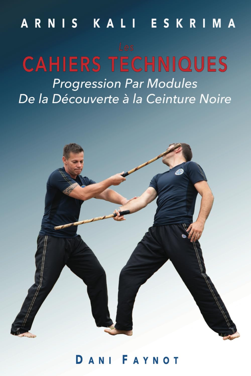CAHIERS TECHNIQUES: PROGRESSION PAR MODULES - DE LA PREMIÈRE SÉANCE À LA CEINTURE NOIRE book