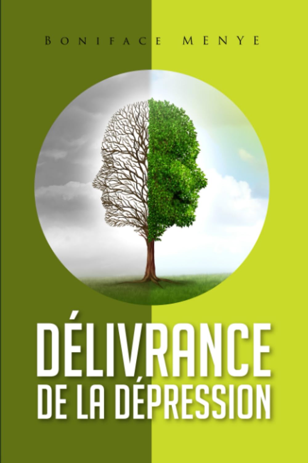 Délivrance de la Dépression book