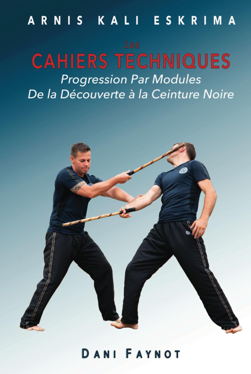 CAHIERS TECHNIQUES: PROGRESSION PAR MODULES - DE LA PREMIÈRE SÉANCE À LA CEINTURE NOIRE book