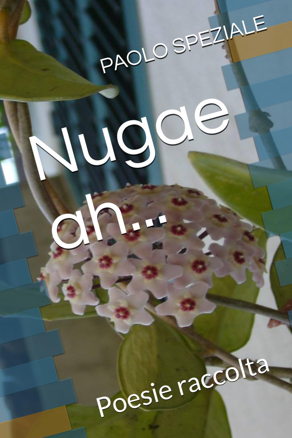 Nugae ah...: Poesie raccolta Poetry