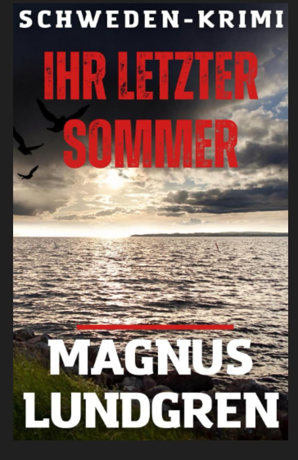 Ihr letzter Sommer: Schweden-Krimi book
