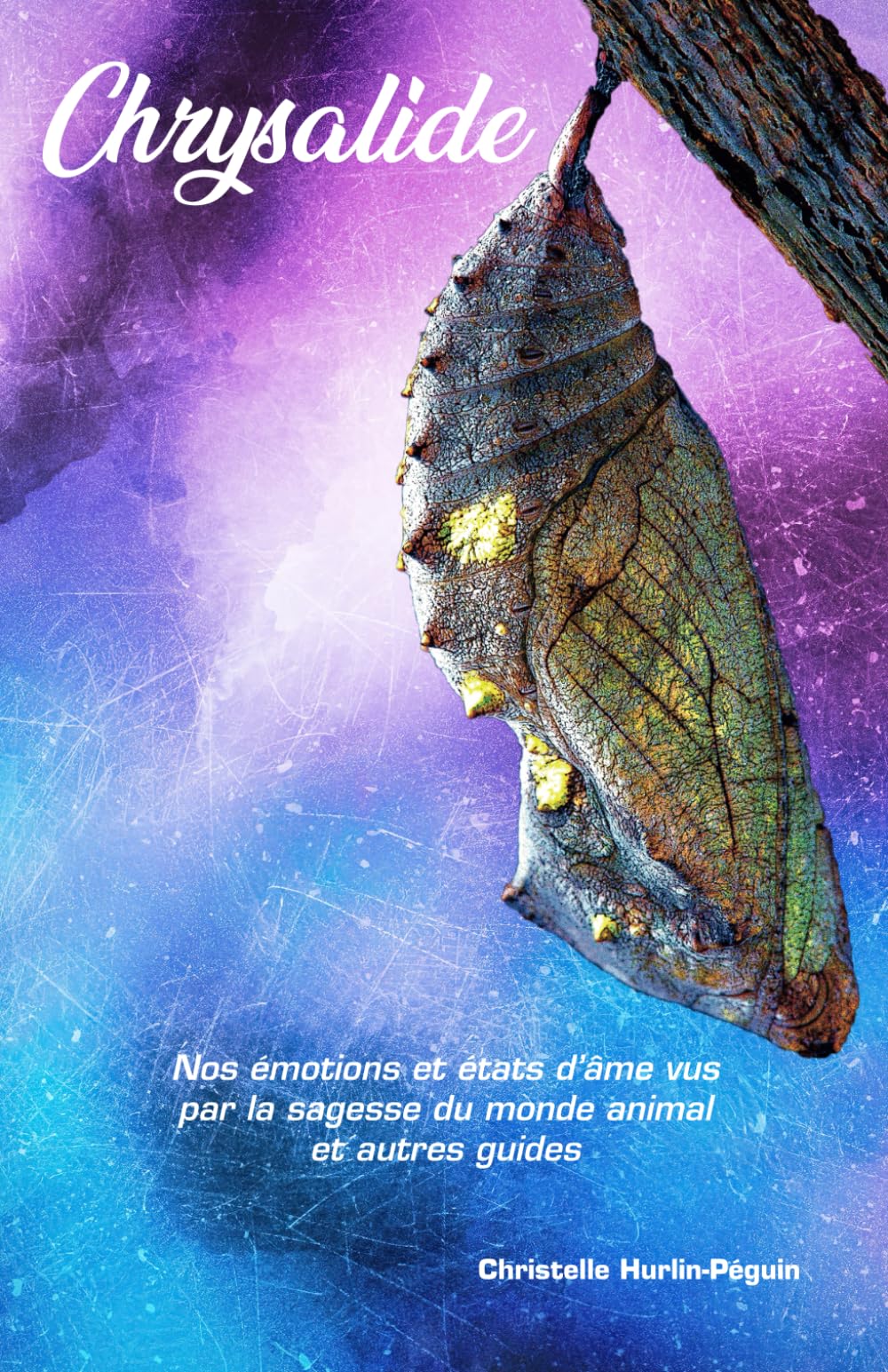 Chrysalide: Nos émotions et états d’âme vus par la sagesse du monde animal et autres guides book