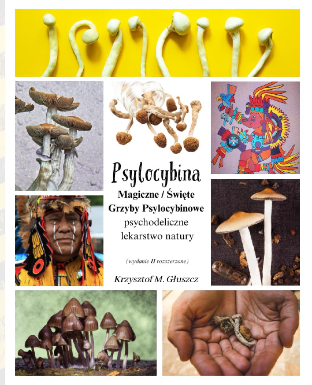 Psylocybina: Magiczne / Święte Grzyby Psylocybinowe, psychodeliczne lekarstwo natury (Wydanie II rozszerzone) Medicine