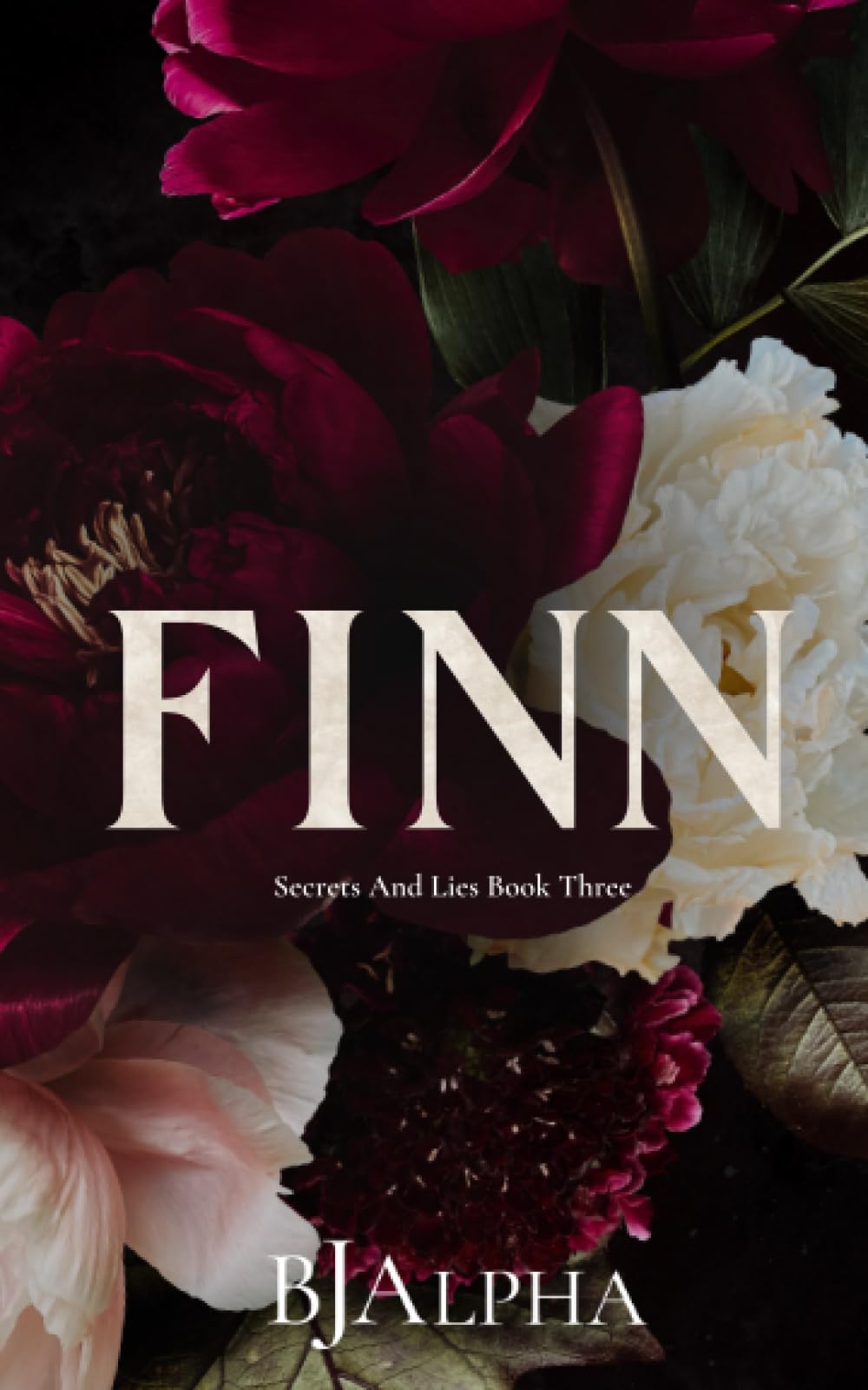 FINN Discreet Cover: Secrets and Lies Discreet Covers Book 3 Eroticism