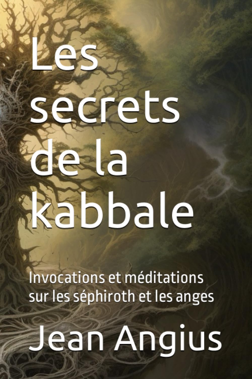 Les secrets de la kabbale: Invocations et méditations sur les séphiroth et les anges book