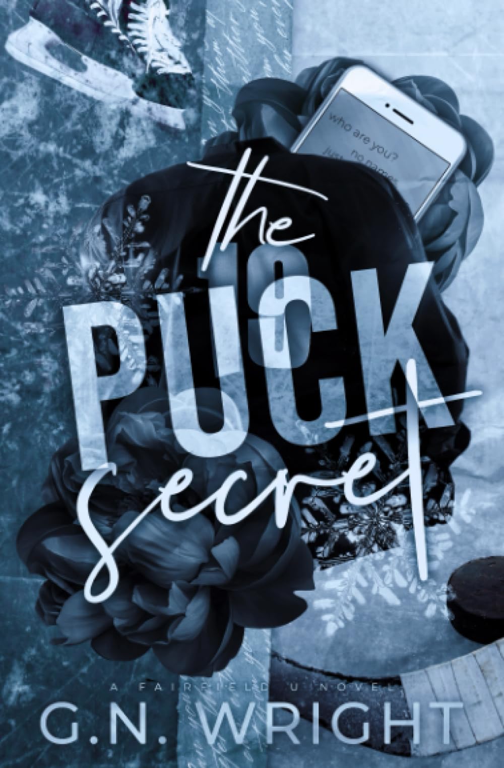 The Puck Secret (Fairfield U, Band 1) Contemporary literature