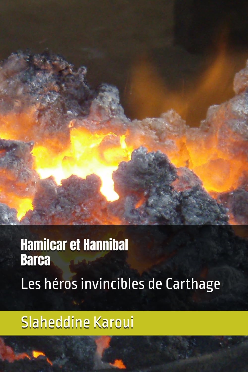 Hamilcar et Hannibal Barca: Les héros invincibles de Carthage book