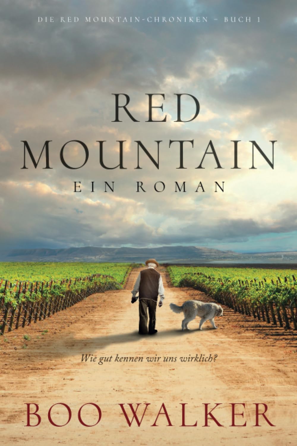 Red Mountain: Ein Roman (Die Red Mountain-Chroniken, Band 1) Contemporary literature