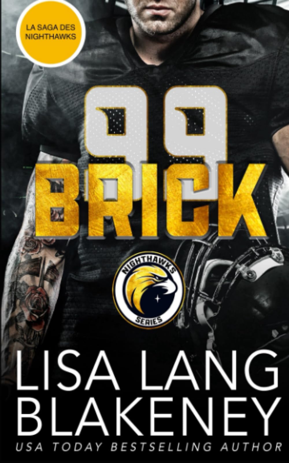 Brick: LA SAGA DES NIGHTHAWKS book
