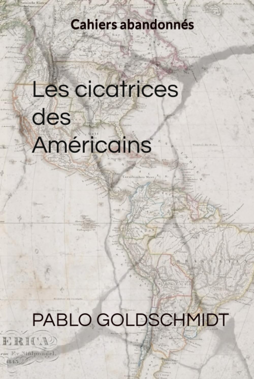 Les cicatrices des Américains: Cahiers abandonnés book