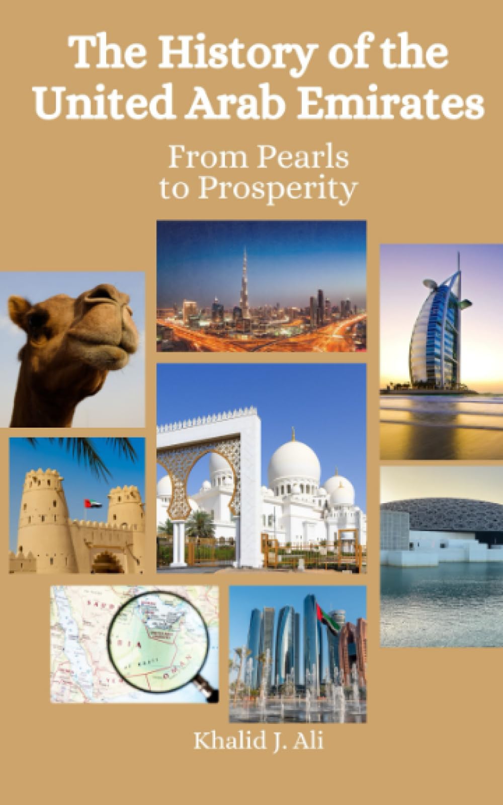 The History of the United Arab Emirates: From Pearls to Prosperity book
