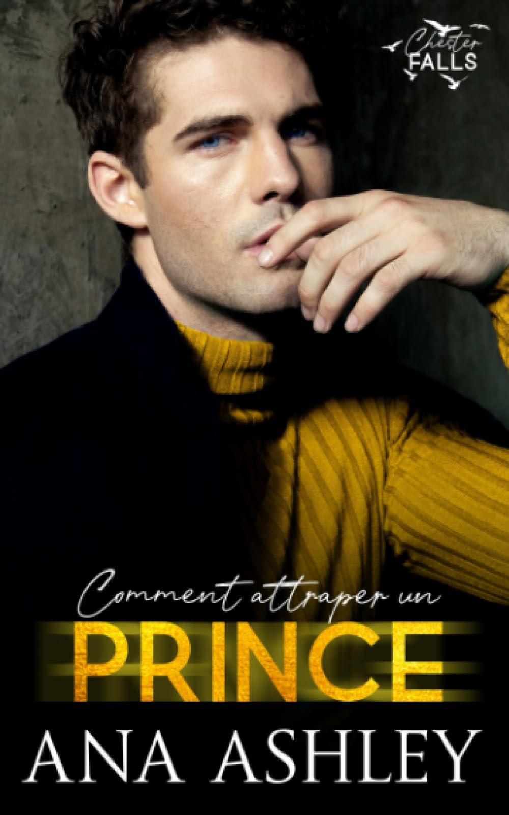 Comment attraper un Prince: Une royauté cachée, une romance MM avec un faux petit ami book