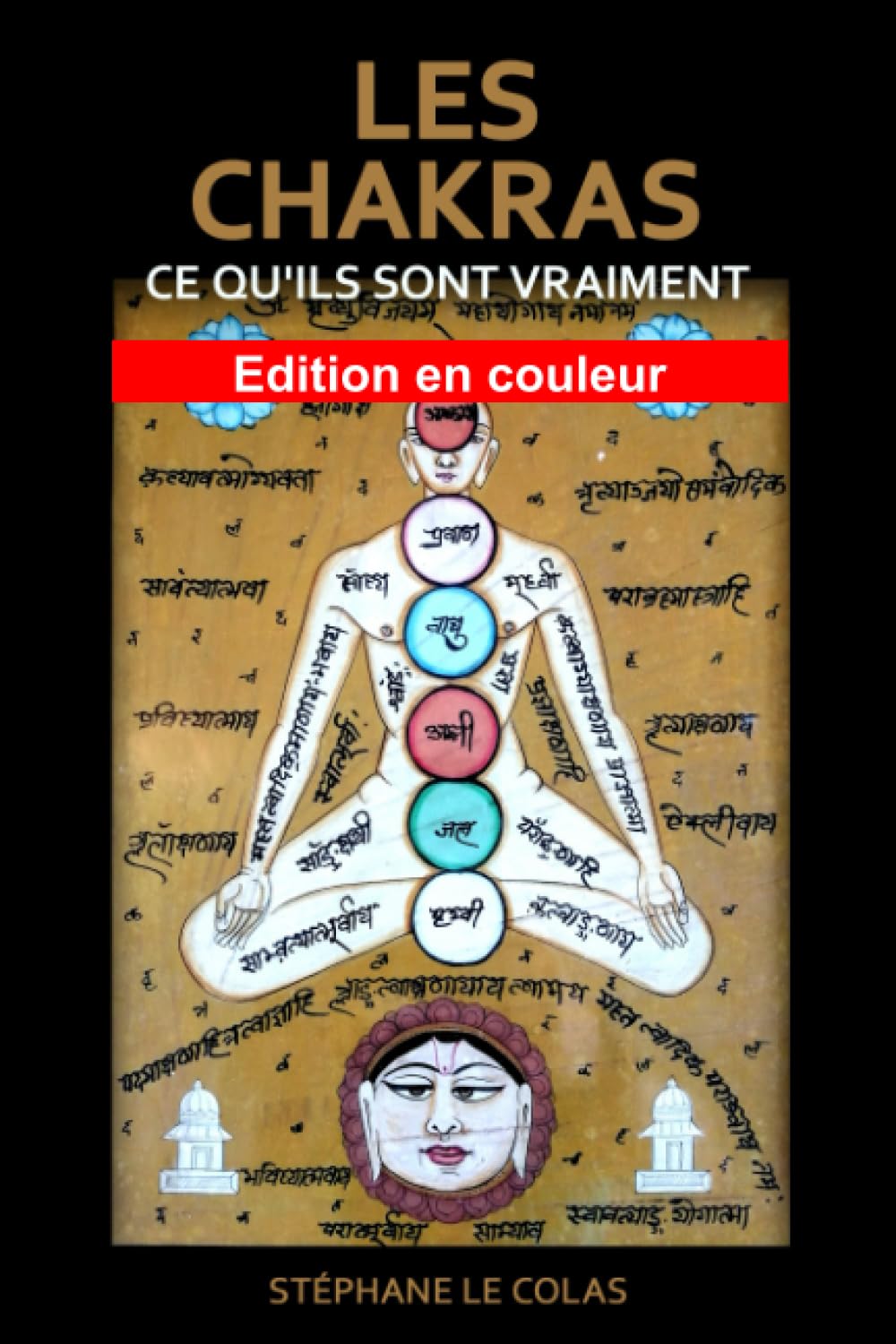 LES CHAKRAS : CE QU’ILS SONT VRAIMENT Edition en couleur: Une explication brève et concrète grâce aux apports de la science, du Tantra et de la psychologie moderne. book