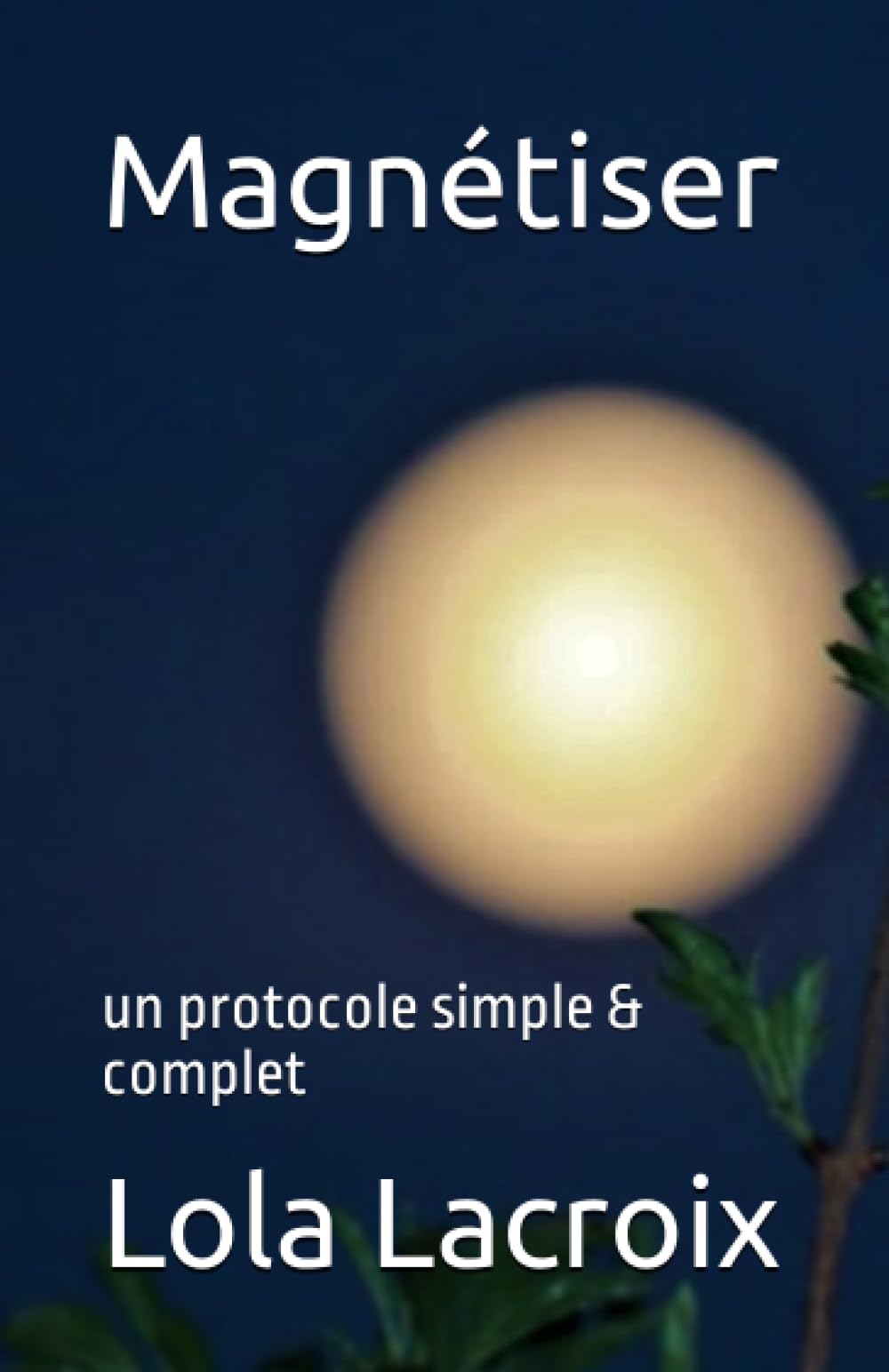 Magnétiser: un protocole simple & complet (Evolution spirituelle – apprendre et voir) Religion & Esotericism