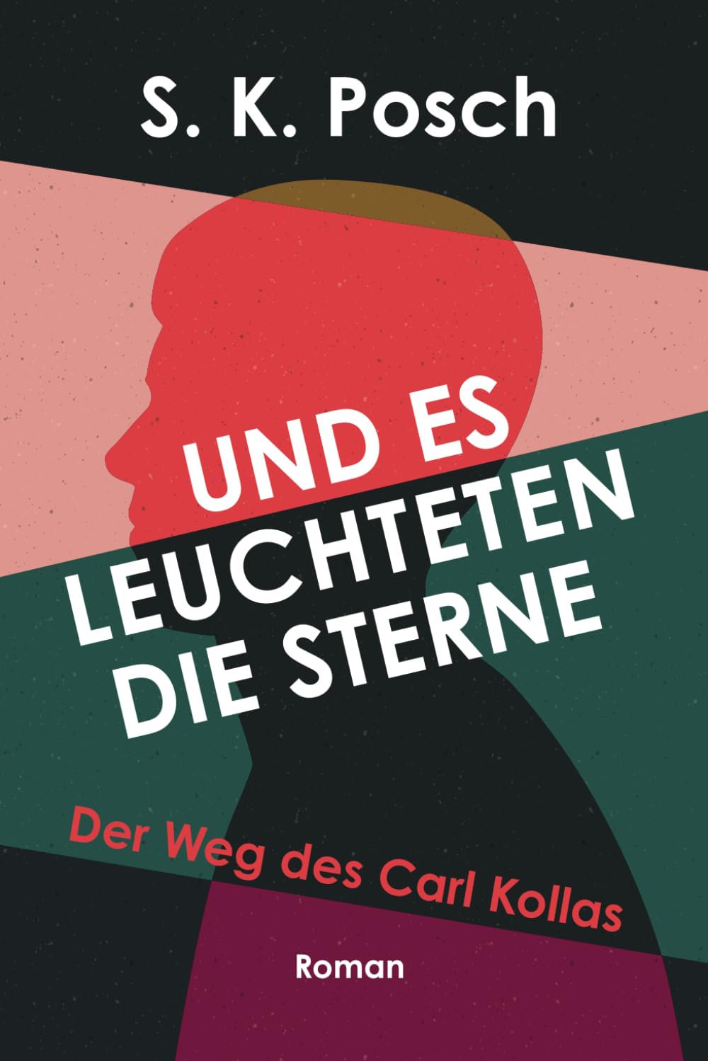 Und es leuchteten die Sterne: Der Weg des Carl Kollas Social Sciences