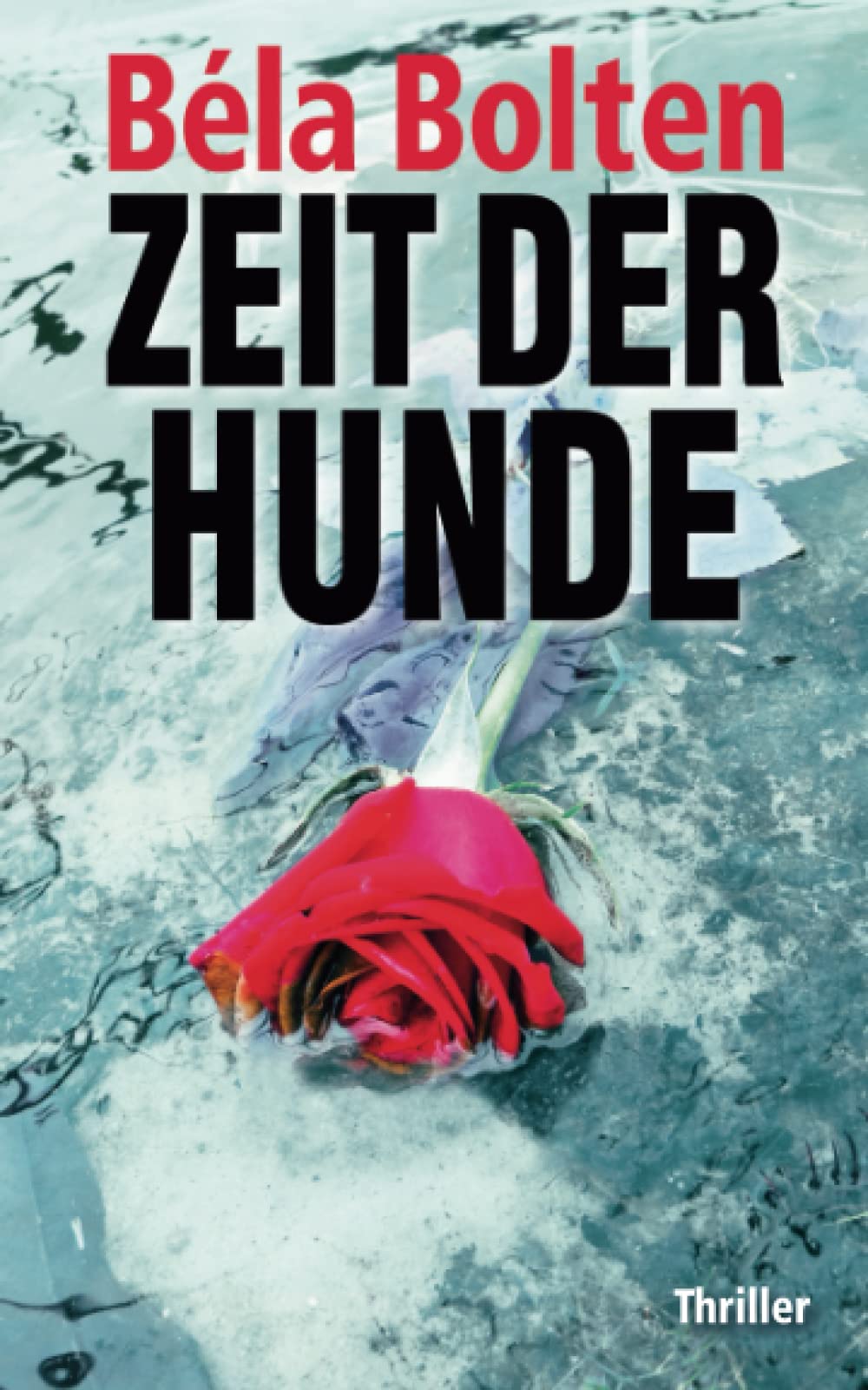 Zeit der Hunde (Berg und Thal ermitteln) Action & Adventure