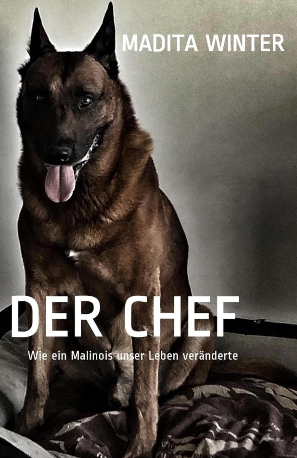 DER CHEF: Wie ein Malinois unser Leben veränderte Contemporary literature