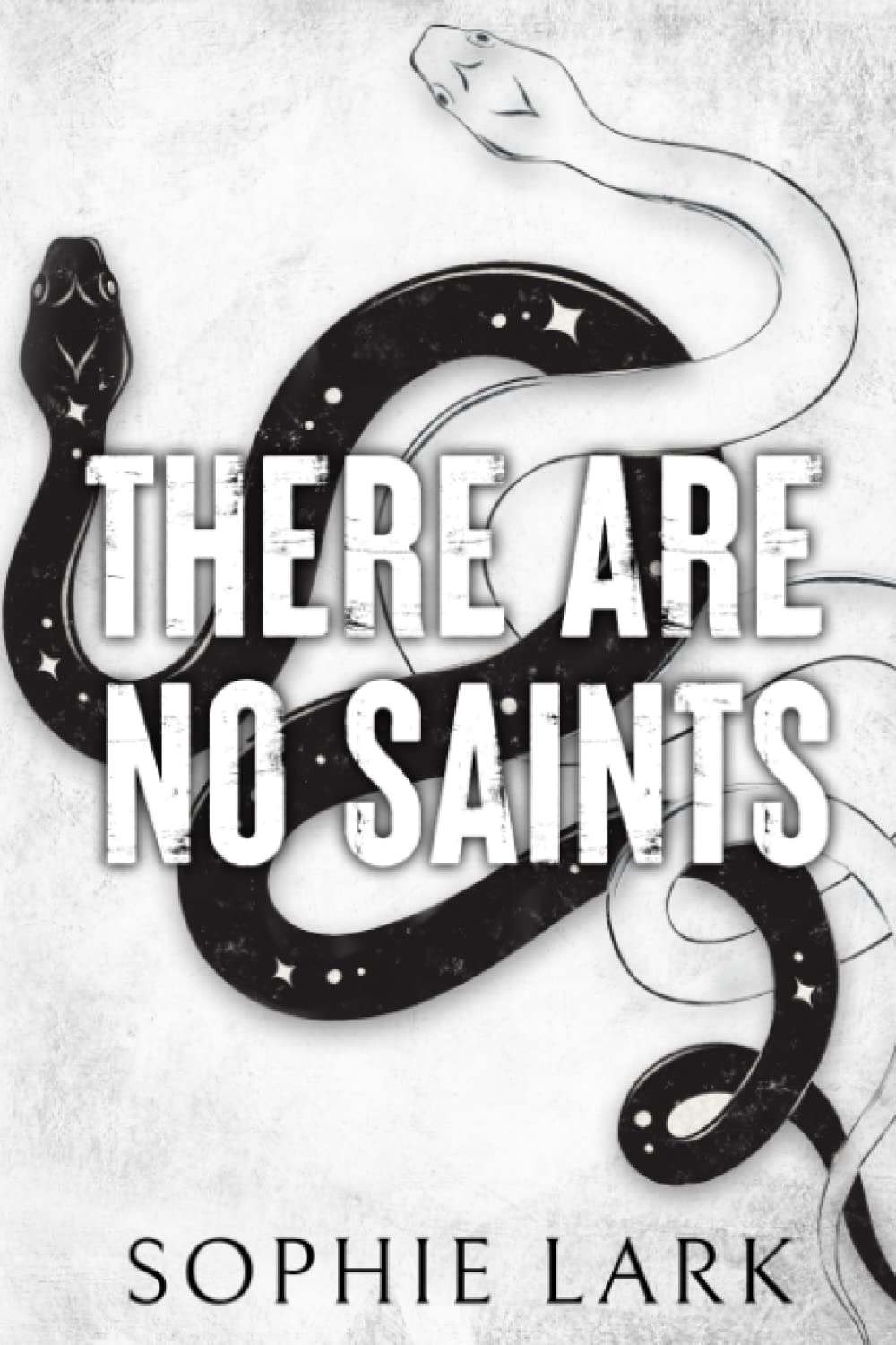 There Are No Saints: Limited Edition Cover (Sinners Duet, Band 1) Romantic Thrillers